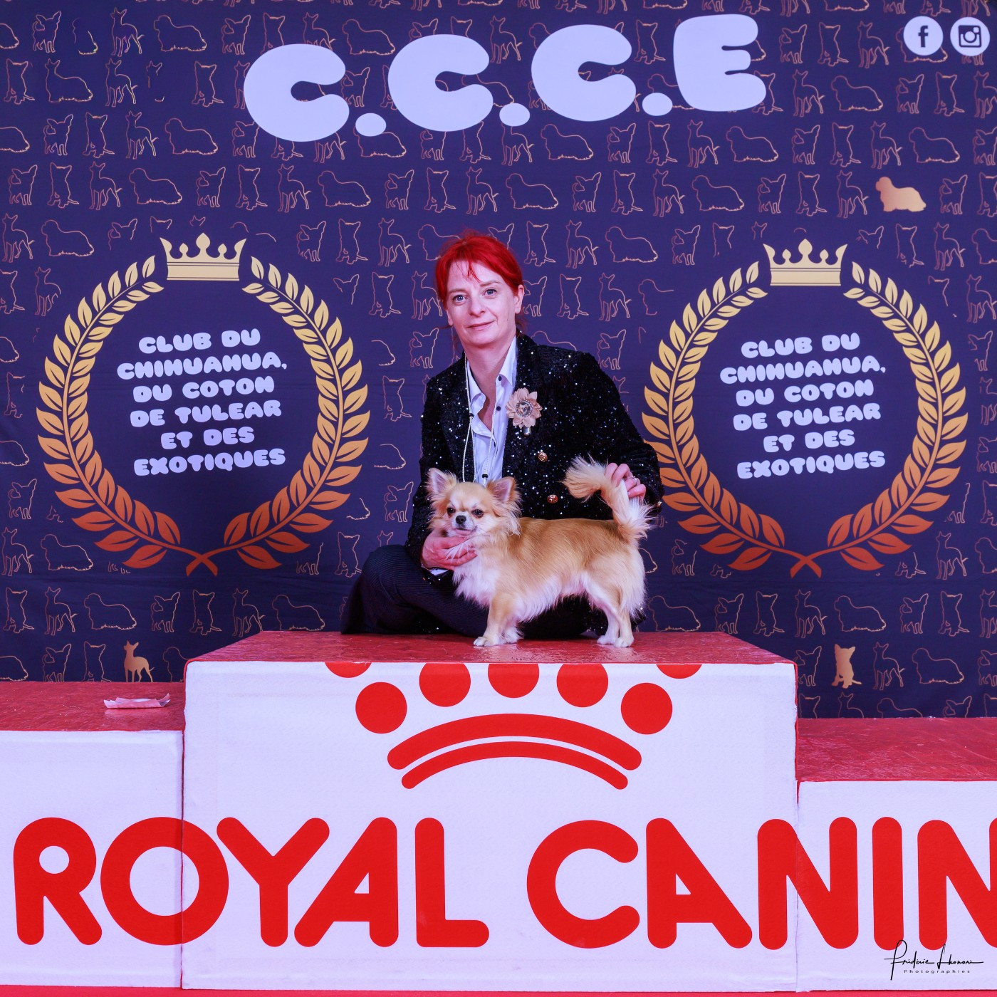 CH. Sweet Little Cherry Versace