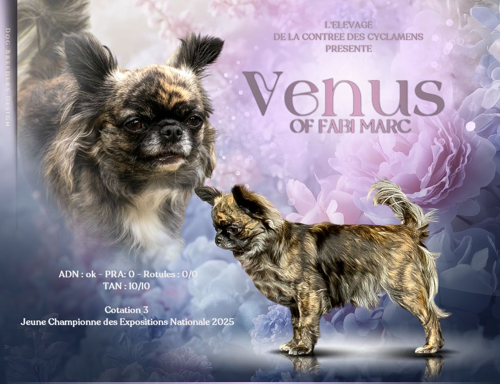 CH. Vénus of fabi marc